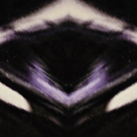 I Am Not a Prodigy. AKUNO!