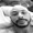 2023-11-26 :33 - LANDR-Twerk Radio Mixx-Open-Low (2)