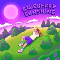 Blueberry Sunshine - Single - Nosun