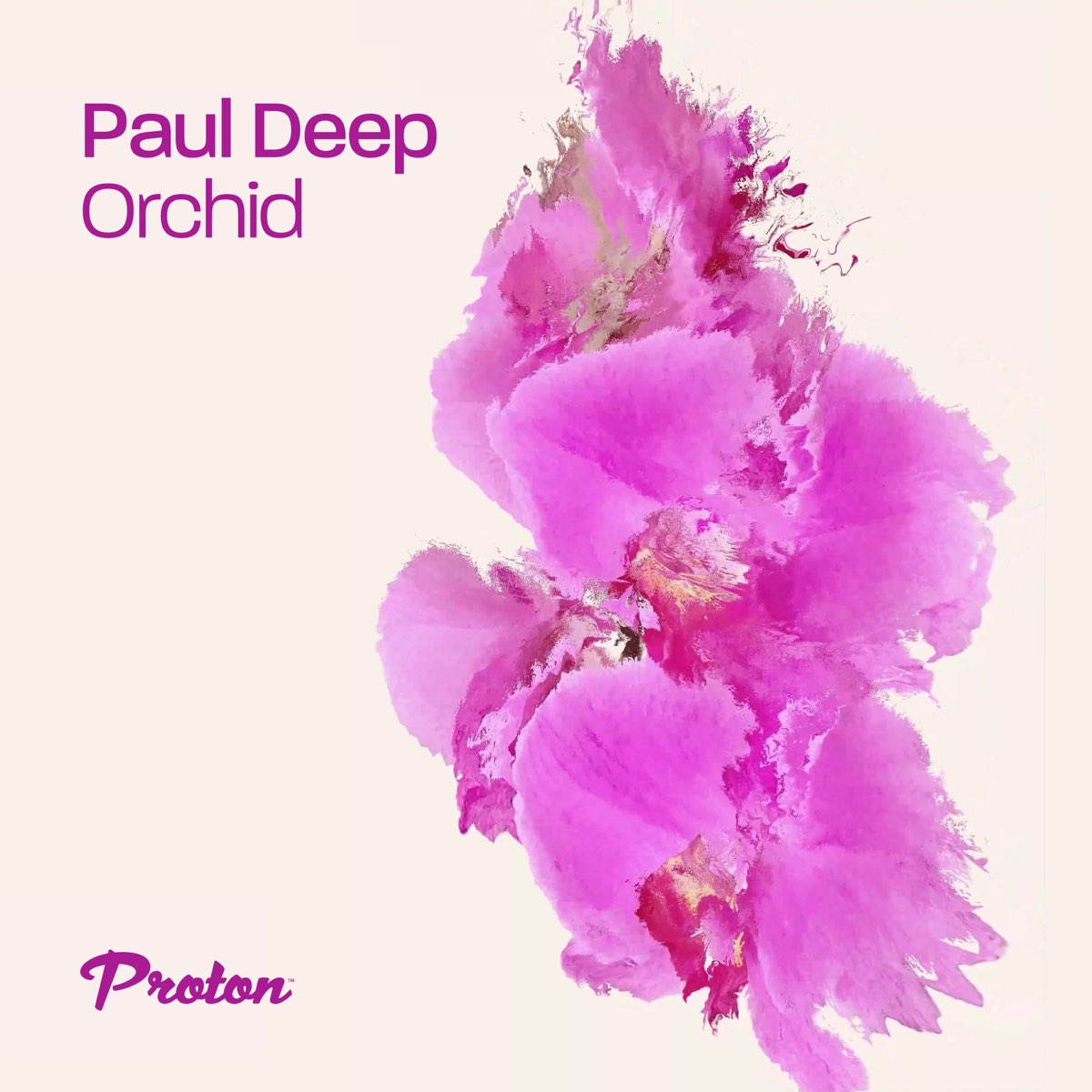 Paul deep. Орхидея сингл. Орхидеи для альбома. Орхидея сингл купить.