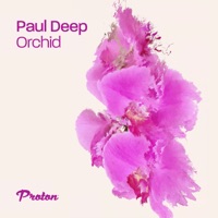 Orchid - Single - Paul Deep AR
