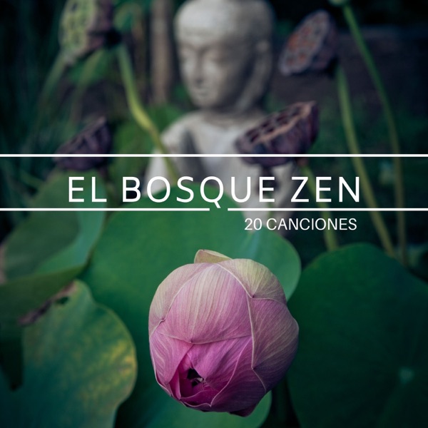 El Bosque Zen 20 Canciones - Música Japonesa y Tibetana para Meditar y Descansar la Mente
