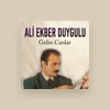 Ali Ekber Duygulu