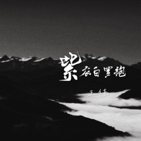 紫衣白罗袍 - Single - Wang Jia
