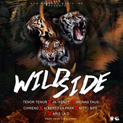Wild Side (AllStar) (feat. Alberto LP, Nitto MTG, Chireno, Tnor Tnor, Aris La D & Jn Kenzy) - Single