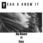 Yeah U Know It (feat. P@xzo) - Single