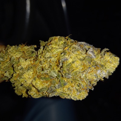 Stay down (feat. West Goldie) - Single