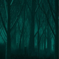 NHÌN TỪ NGOÀI KIA (Slowed) - Single - Feetz