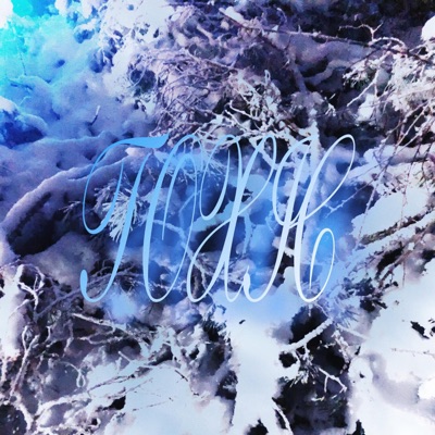 Toxic - Single