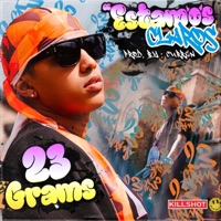 Estamos Claros - Single - 23 Grams & Curren