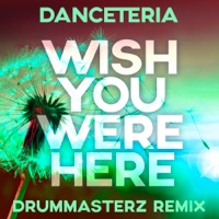 Wish You Were Here (DrumMasterz Remix) - Single - Danceteria