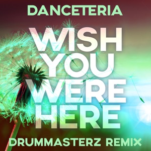 Wish You Were Here (DrumMasterz Remix) - Single