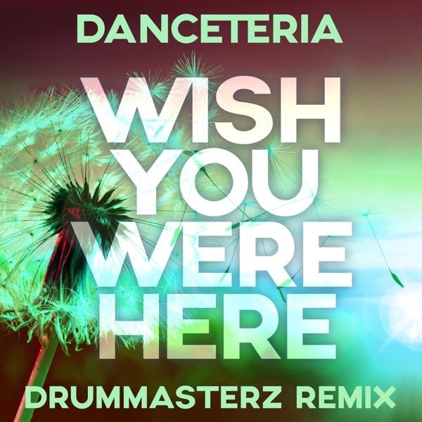 Wish You Were Here (DrumMasterz Remix) - Single