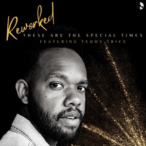 These Are the Special Times (Reworked) [feat. Teddy Trice]