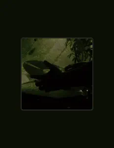 Smoking Weed Vibe을(를) 듣고, 뮤직 비디오를 보고, 약력을 읽고, 투어 일정 등을 확인하세요!