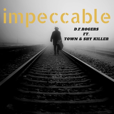 Impeccable (feat. Town & Shykiller) - Single