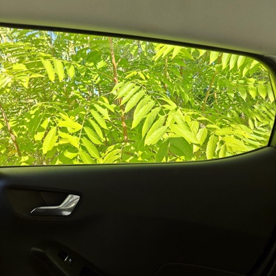 Not That Simple - Single