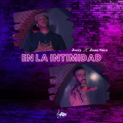 En la intimidad - Single