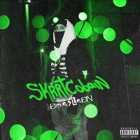 SKRRT Cobain - James Lean