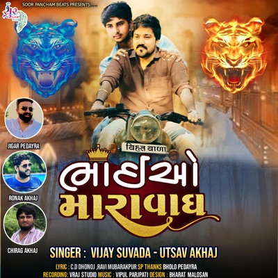 Bhaiyo Mara Vagh - Single