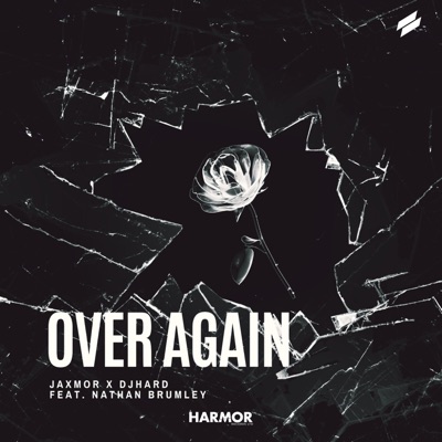 Over Again (feat. Nathan Brumley) - Single