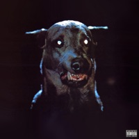 MAD DAWG (feat. DJ T-MANE) - Single - Jason Rich