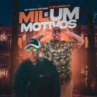 Mil e um Motivos - Single - Mc Wesley Boladão, MC Leozinho Zs & Matheuszin DJ