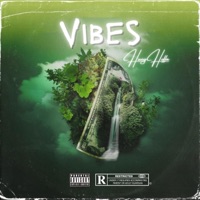 Vibes - Single - Huey Hoffa