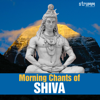 Morning Chants of Shiva - Various Artists