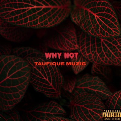 Why Not - Single