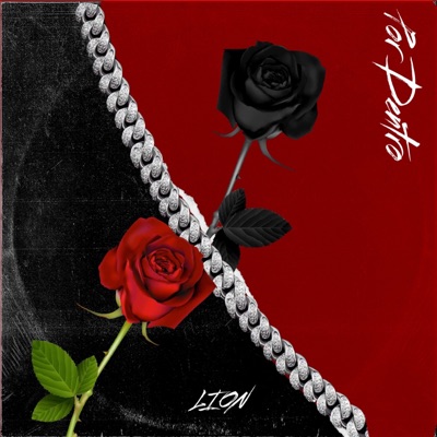 Por dentro - Single