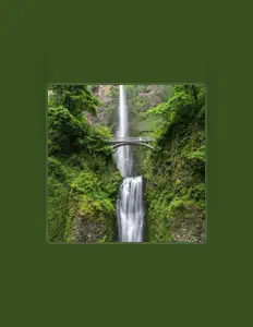 Ouve Famasound, vê vídeos de música, lê a biografia, vê as datas da digressão e muito mais!