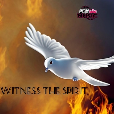 Witness the Spirit - Single