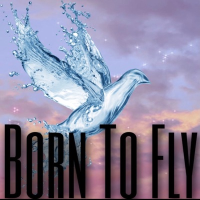 Born To Fly - Single