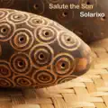 Salute The Sun