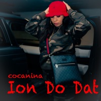 Ion Do Dat - Single - Cocanina