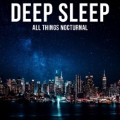 All Things Nocturnal artwork