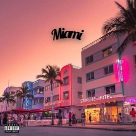 Miami (feat. DATW) Theywantchris