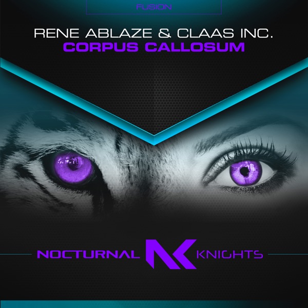 Corpus Callosum - Single