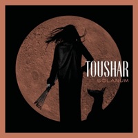 Solanum - Single - Toushar