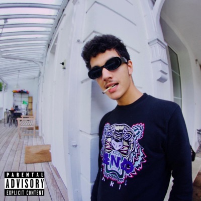 NSGM - Single
