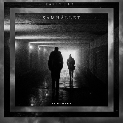 Kapitel 1 - Samhället - Single