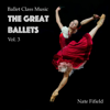 Grands Battements (Rhapsody in Blue) - Nate Fifield