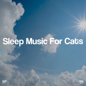 !!!" Sleep Music for Cats "!!!