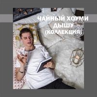 ДЫШУ (КОЛЛЕКЦИЯ) - Чайный Хоуми
