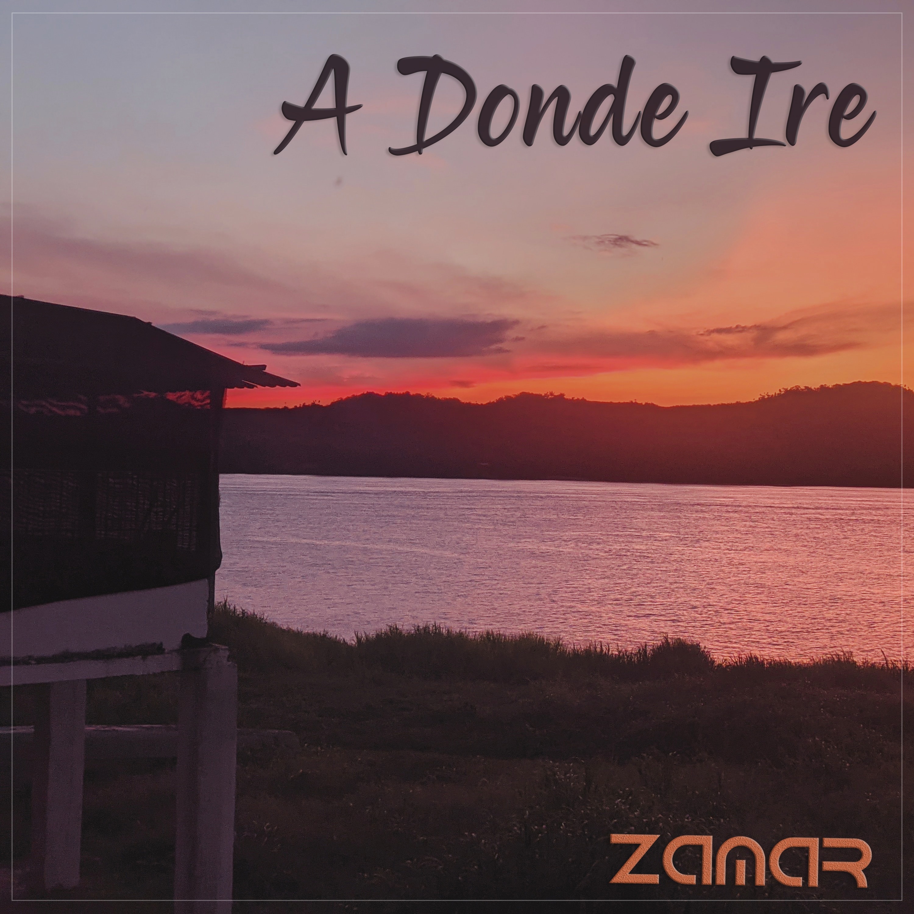 A Dónde Iré - Single