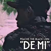 De Mi - Single - Lion Zen