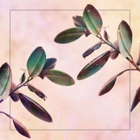 Intrinsically - Single - Farco & JiLLi