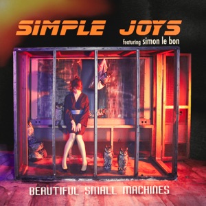Simple Joys - Single