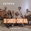 Si Sabes Contar - Single